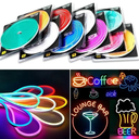 CINTA LUZ NEON 5m |512765|